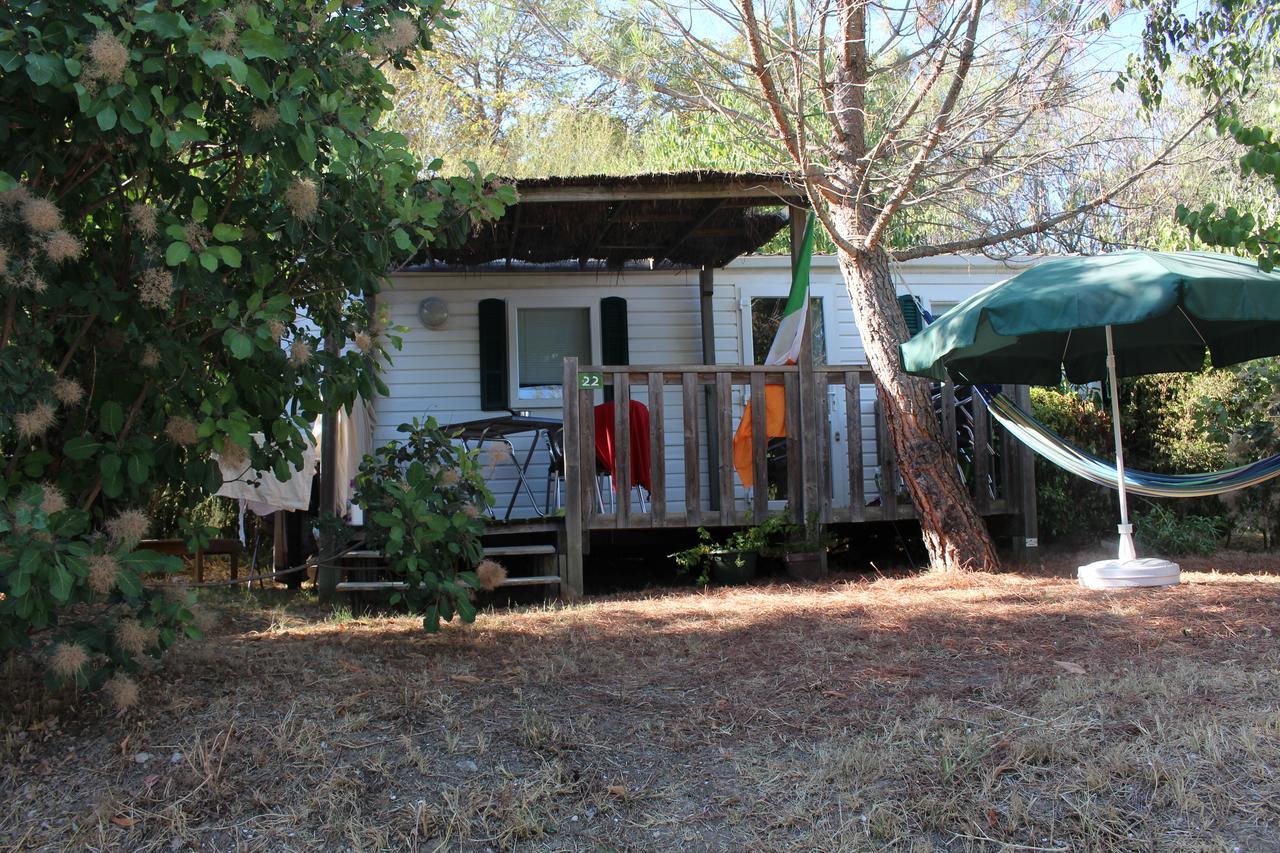 מלון Camping Forcalquier Les Routes De Provence מראה חיצוני תמונה